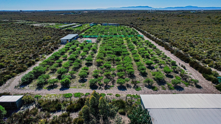 Commercial Property for Sale in Hartebeesfontein Western Cape